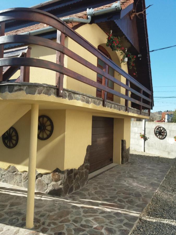 Casa Vlasea Albesti Sighisoara Bed and Breakfast Exterior foto